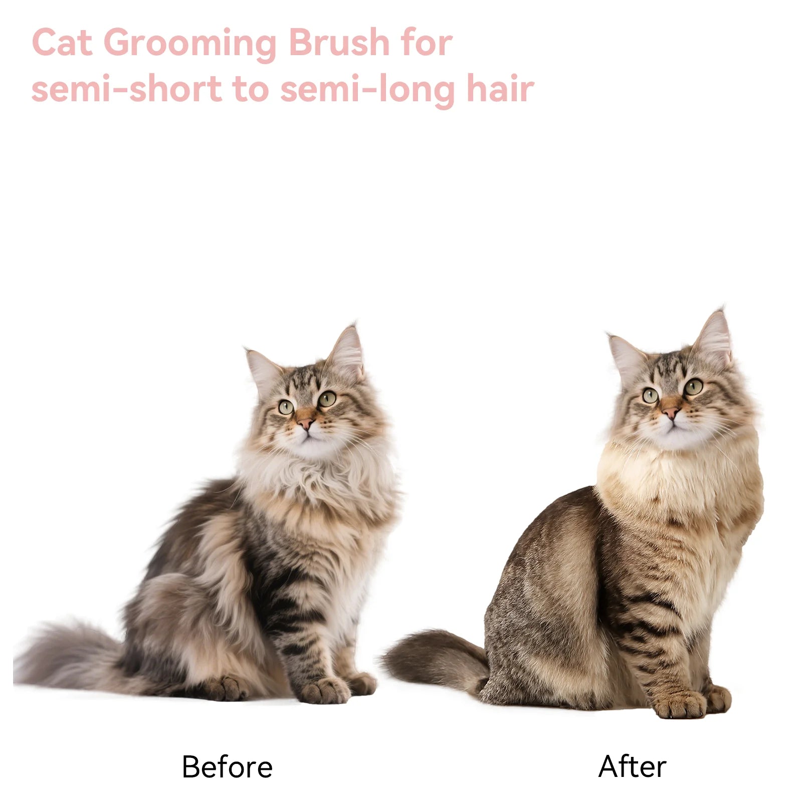 Cat & Dog Grooming Brush – Self-Cleaning Slicker Brush for Shedding, Removes Loose Fur & Tangles, Gentle & Skin-Friendly, Perfect for All Coat Types – Pink