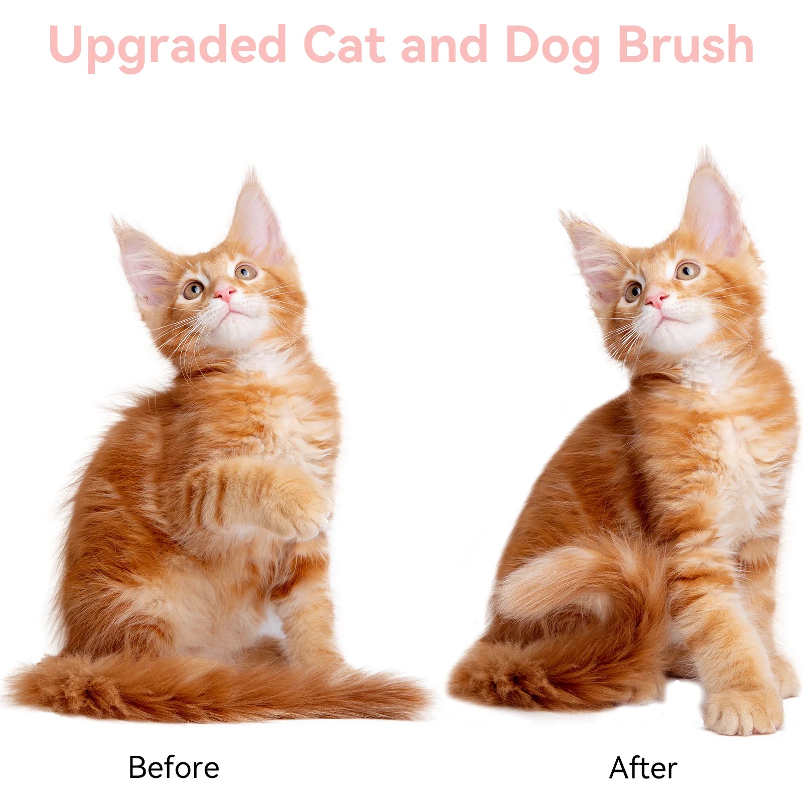 Cat & Dog Grooming Brush – Self-Cleaning Slicker Brush for Shedding, Removes Loose Fur & Tangles, Gentle & Skin-Friendly, Perfect for All Coat Types – Pink